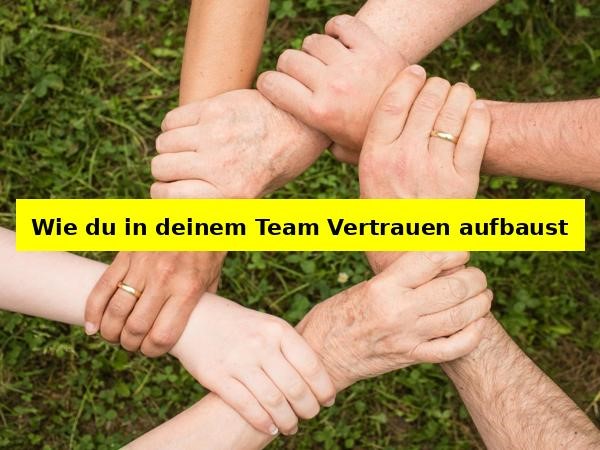 Wie du in deinem Team Vertrauen aufbauen kannst.